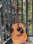 Gitara Takamine G220