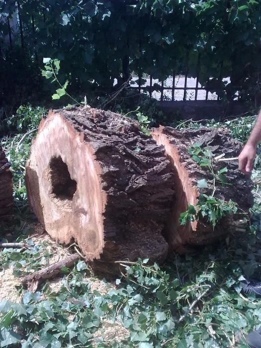Спил деревьев в Запорожье, автовышка.