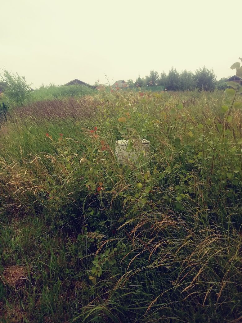 Koszenie wysokich traw i trawników