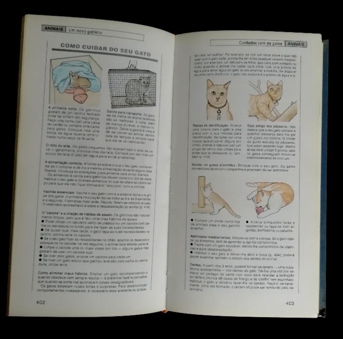 Livro Ideias Práticas & Soluções Rápidas, 1ª Edição