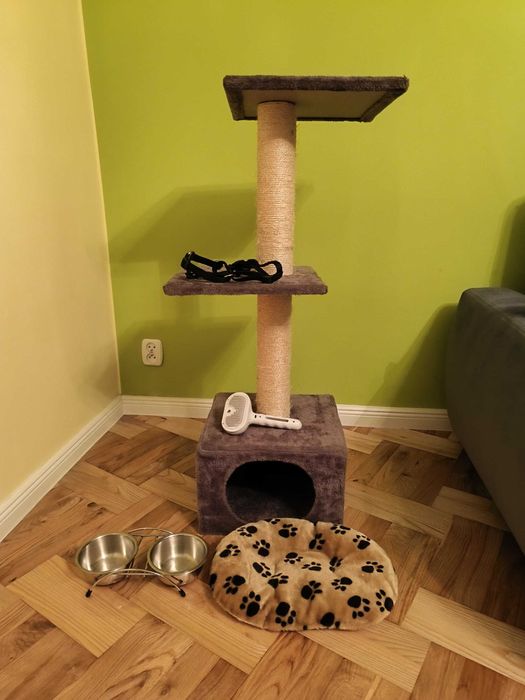 Drapak dla kota z akcesoriami