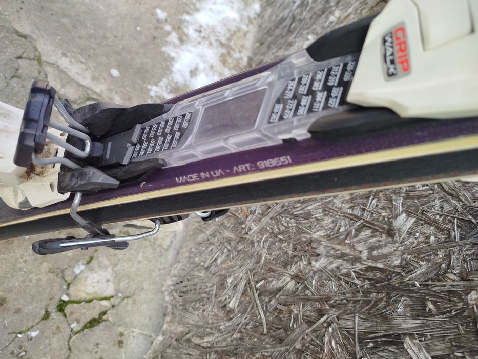 Narty męskie Nordica