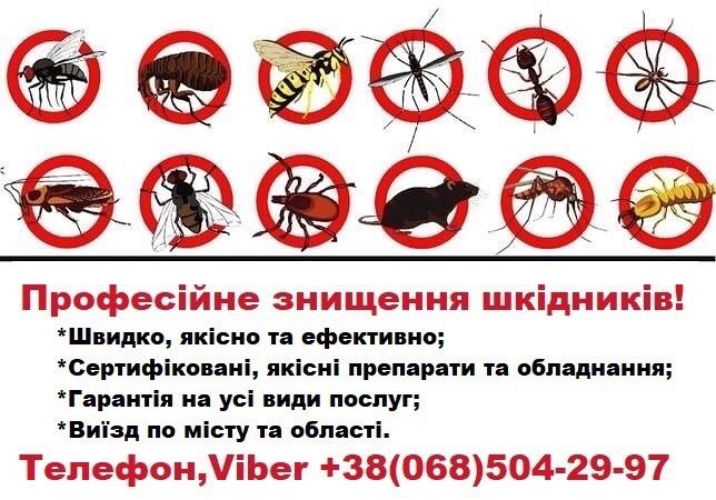 Дезинсекция, дезинфекция(тараканы,клопы,блохи,клещи,муравьи и т.д)