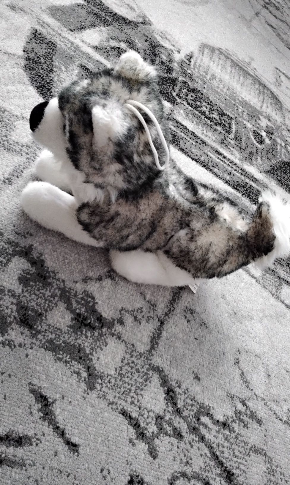 Słodki pluszak Pies Husky