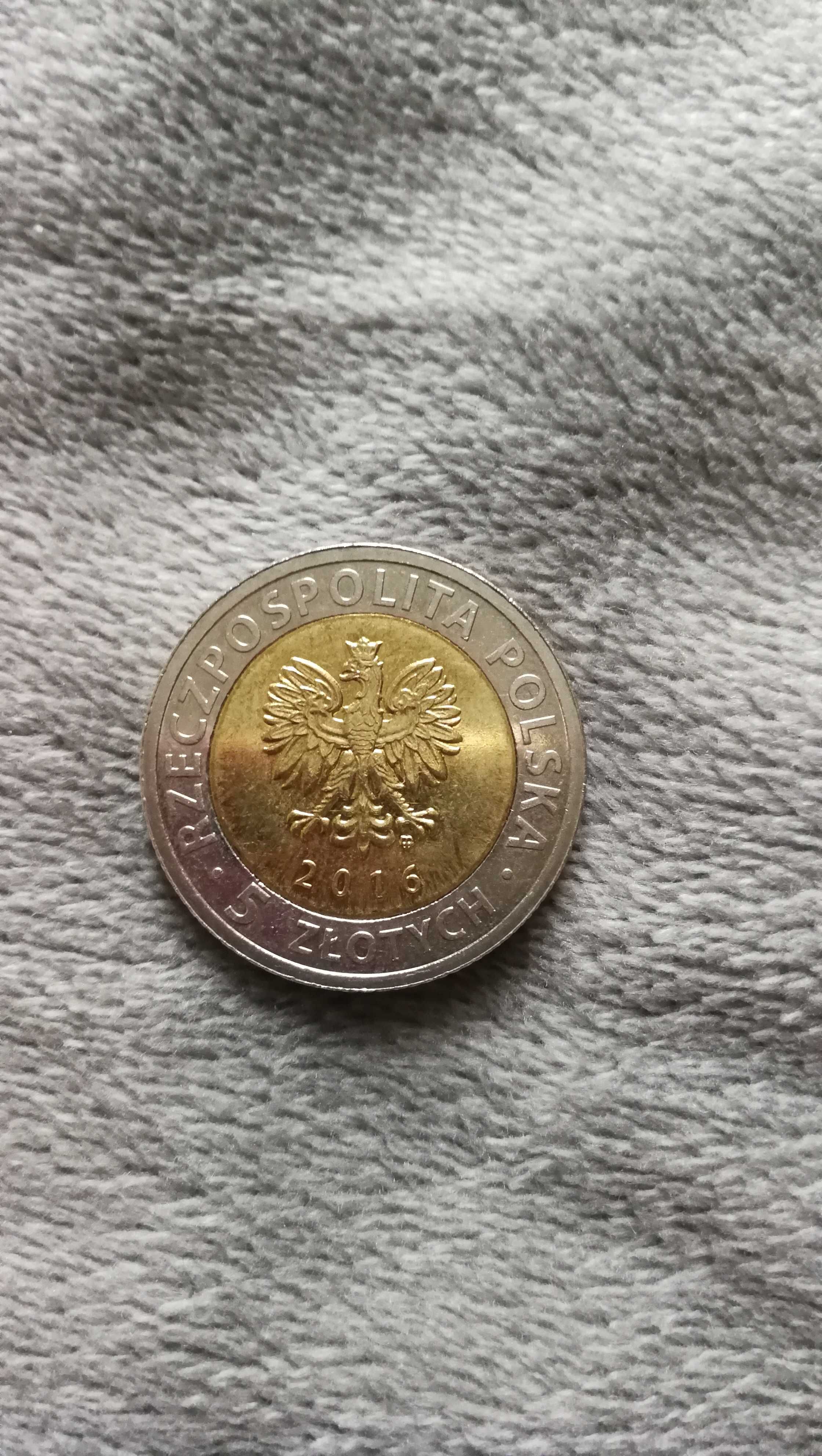 księży młyn w łodzi moneta 5 złotych