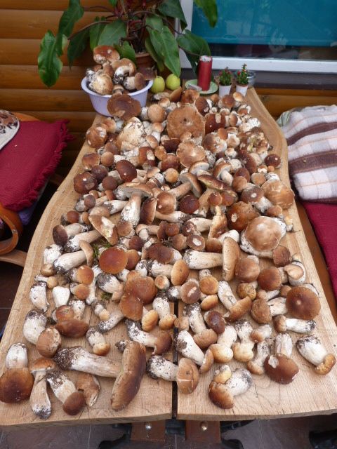 Noclegi Domek+pokoje nad kanałem kwatery pracownicze