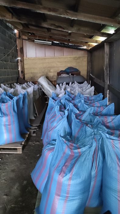 Owies tegoroczny 2025