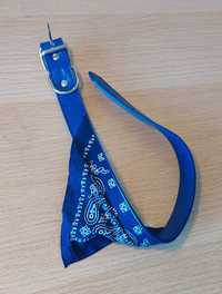 Coleira Bandana Azul