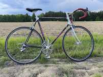 GIANT CADEX 980c Karbon Shimano 600
