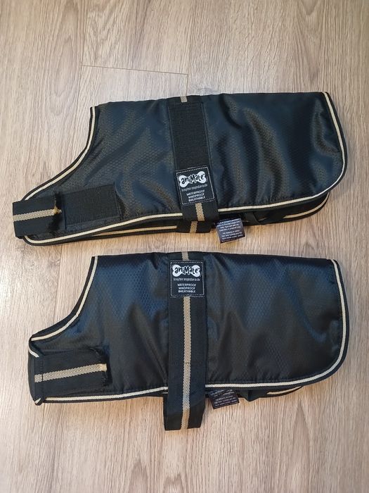 Одежда для собак