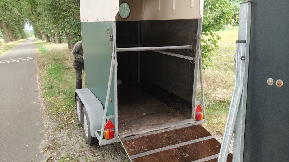 Przyczepa konna dla koni 1,5 konia Wesco 1300kg !