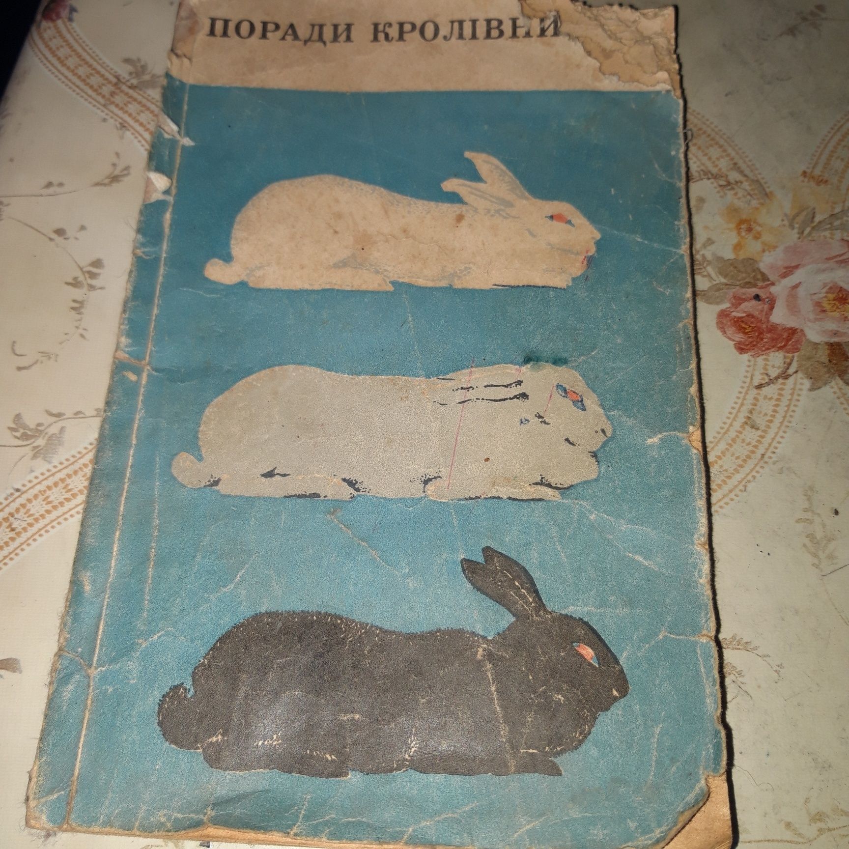 Книжка по кроліківництву