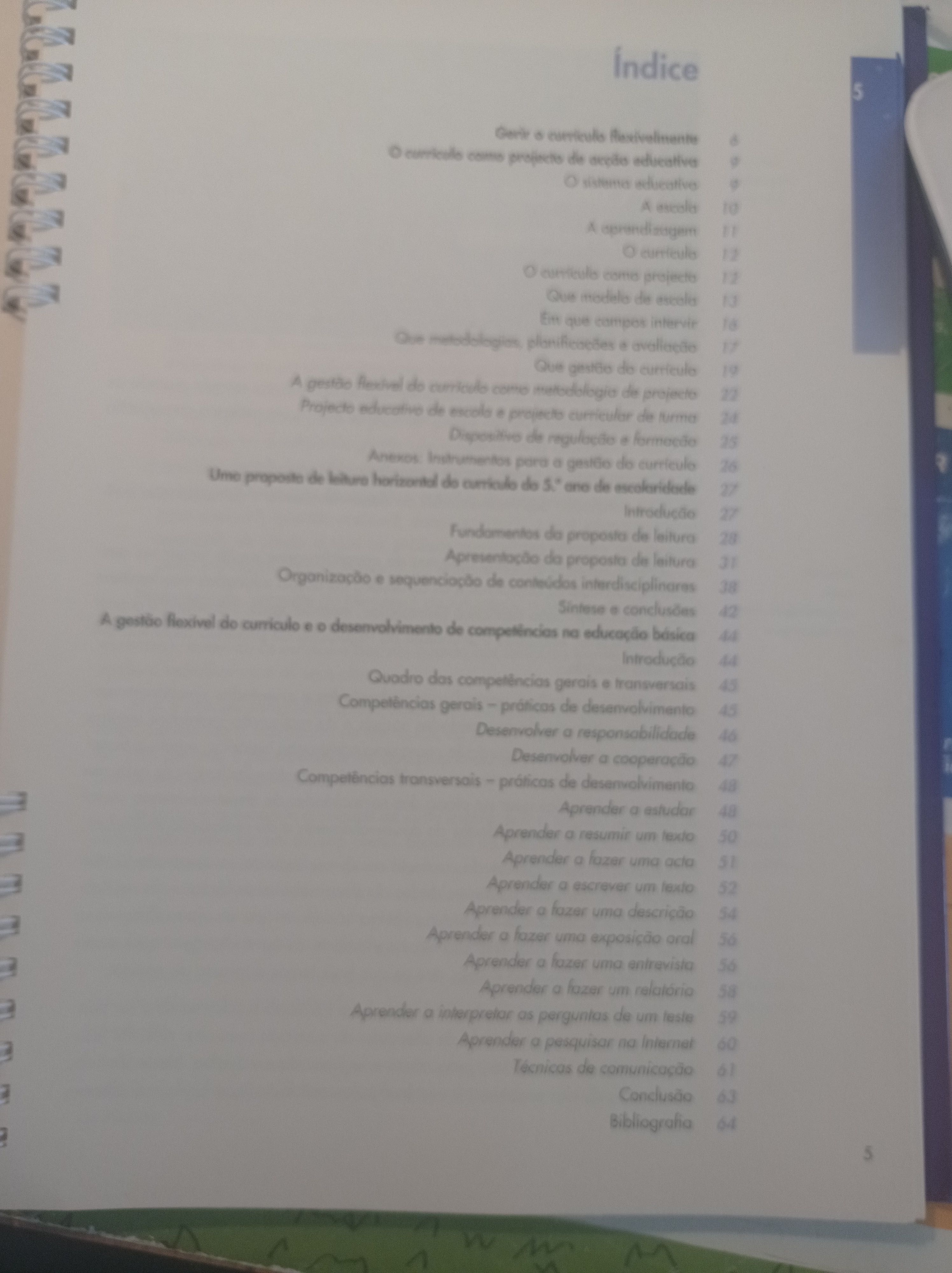 O professor e o currículo