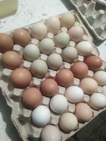 Яйця крашанки по 10