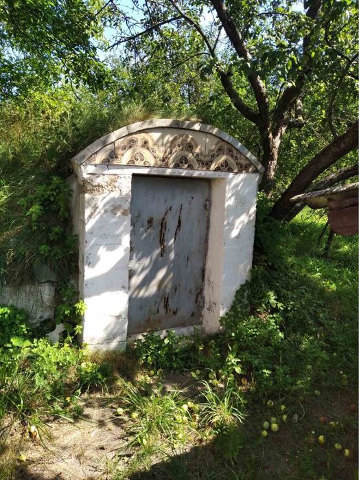 Будинок з садком та ділянкою