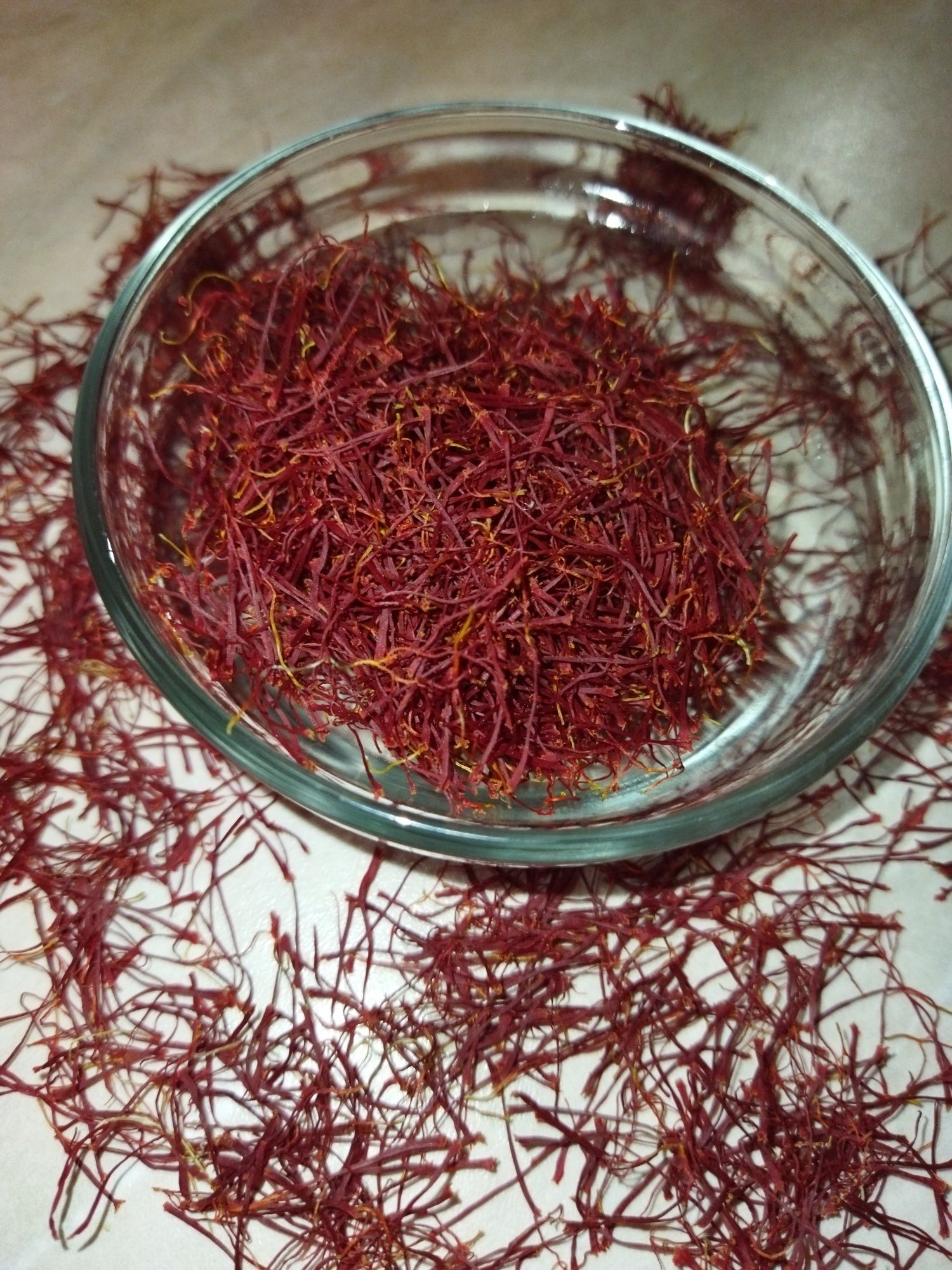 Шафран(крокус Sativus)
