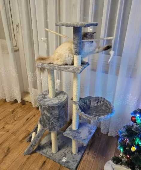 Когтеточка для кошек с лежанкой