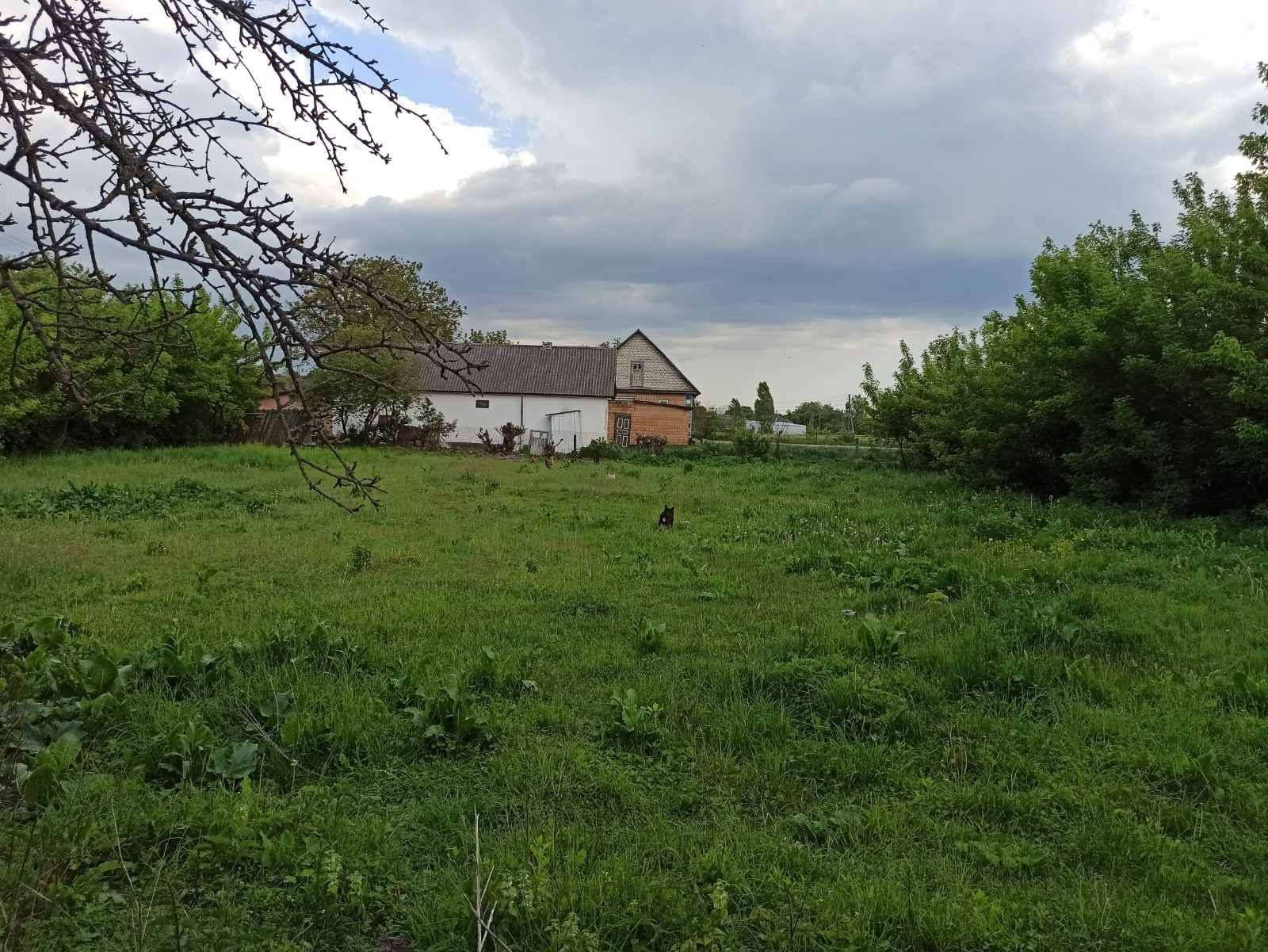 Продам хату в Дубрівці з землею приватизованою