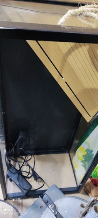 Terrário para tartarugas