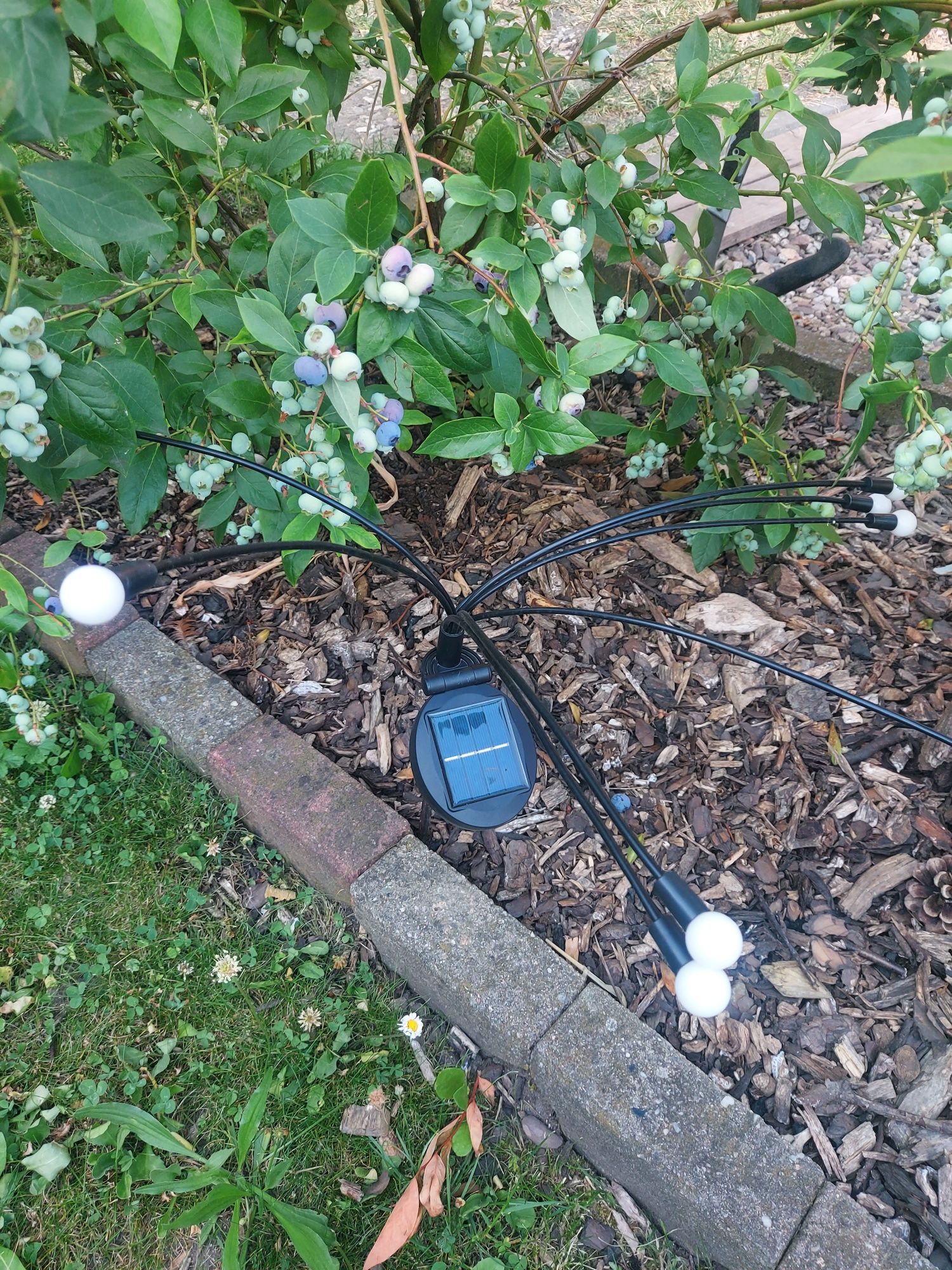 Lampki solarne, zestaw 4szt.