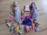 Zestaw zabawek Elsa i śnieżka pieska kotki akcesoria barbie.