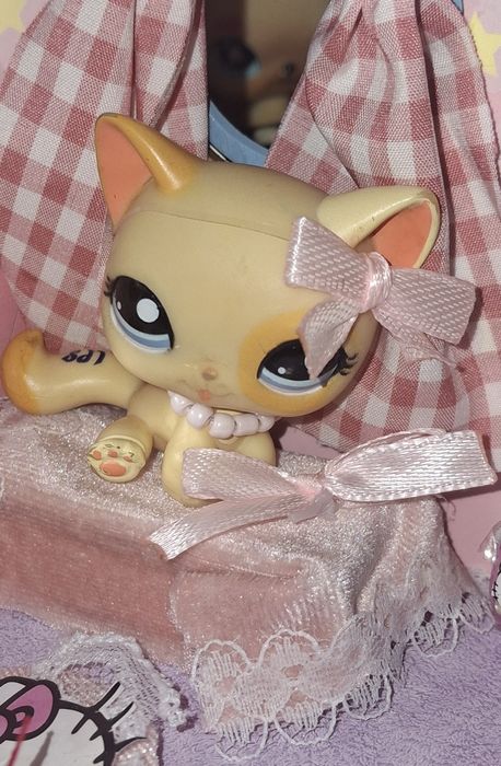 Ubranko dla lps zestaw