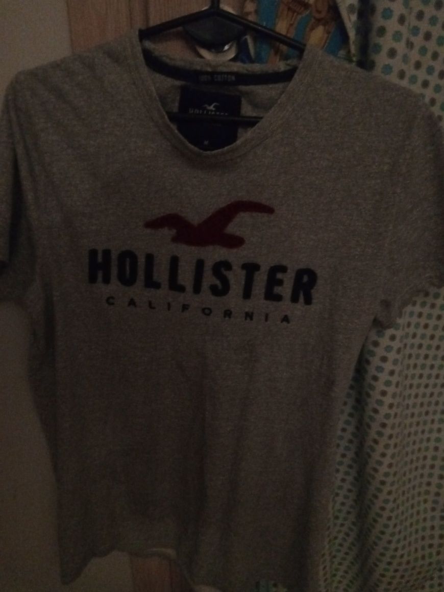 Koszulka Hollister tanio