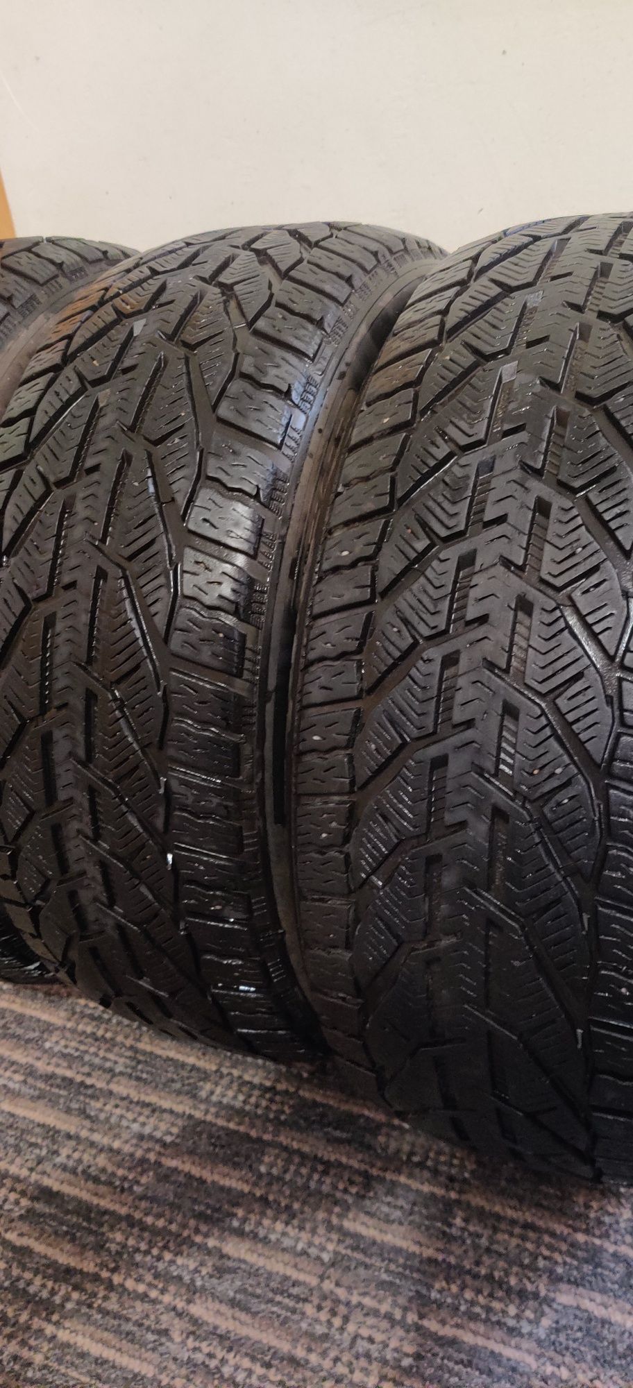 Tigar Winter 225/50 R17 94H