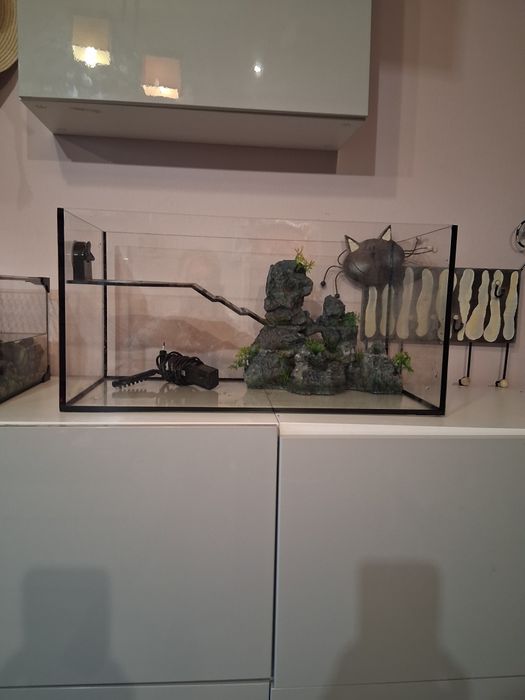 Akwarium z wyposażeniem