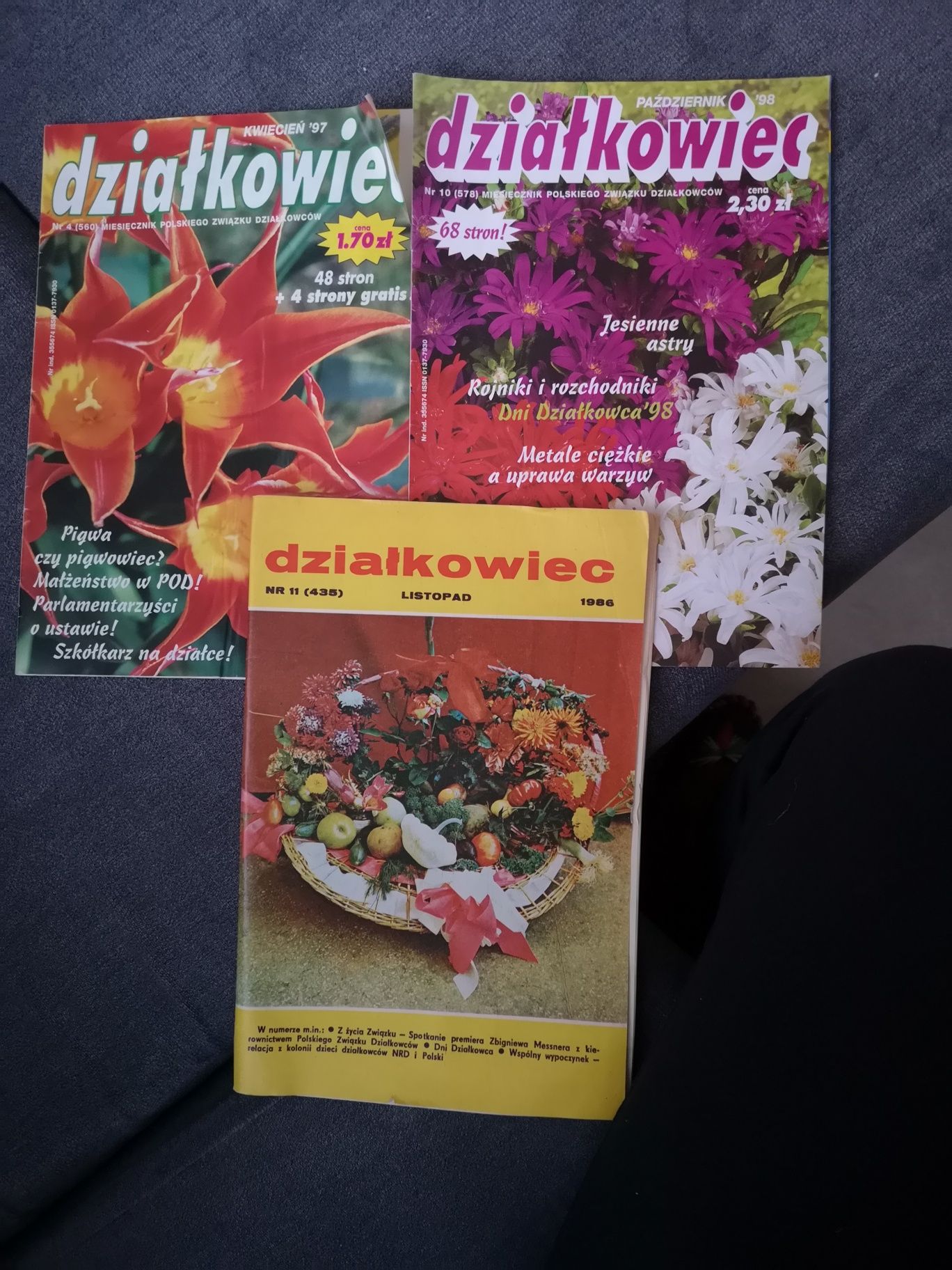 Działkowiec Kwietnik gazeta 1986prl 1997r 1998 Mój piękny ogród