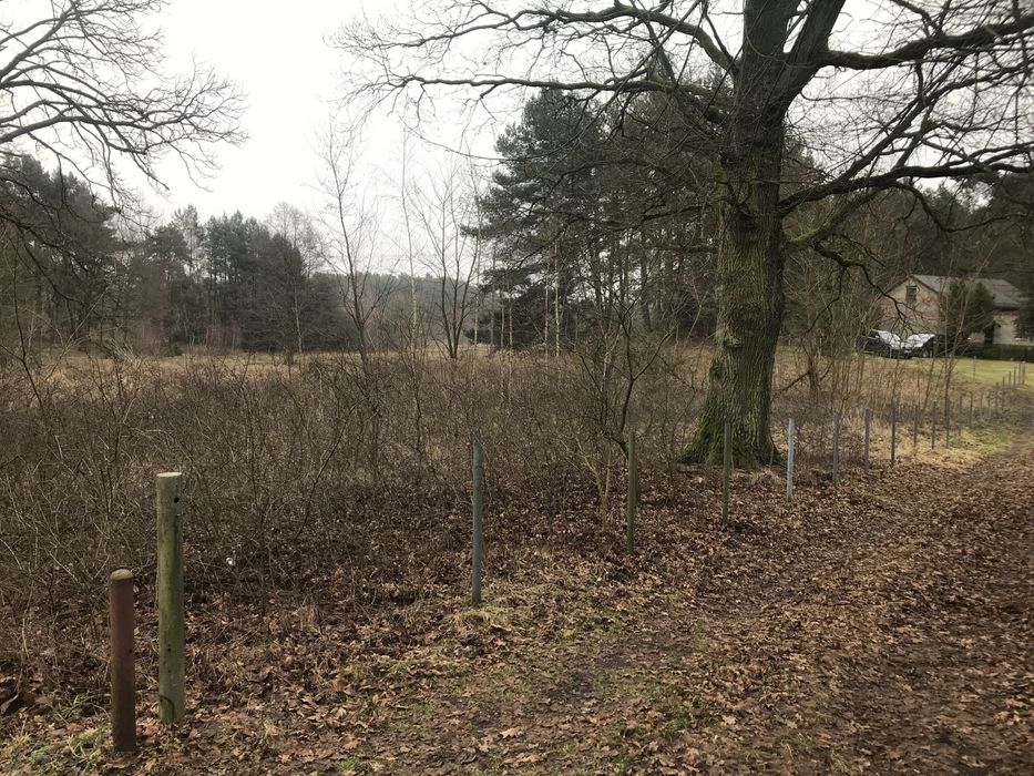 Działka 3180m2 przy lesie.