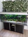 Akwarium 540L Optiwhite 180x50x60