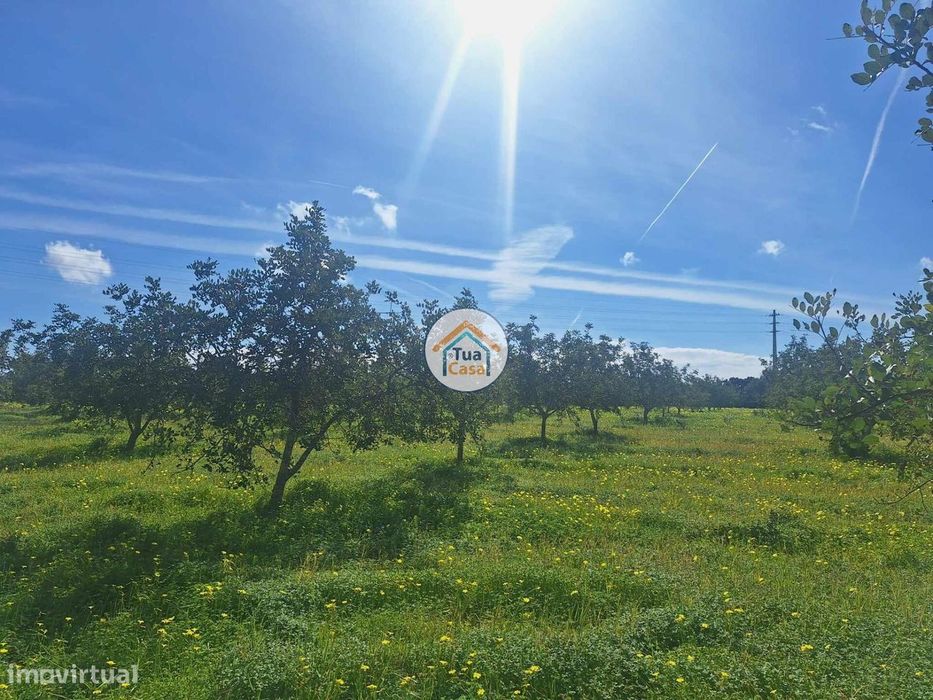 Terreno com armazém no concelho de Faro
