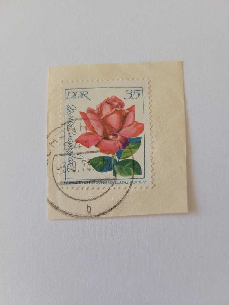 Znaczek pocztowy ze stemplem Internationale Rosenausstellung DDR-1972