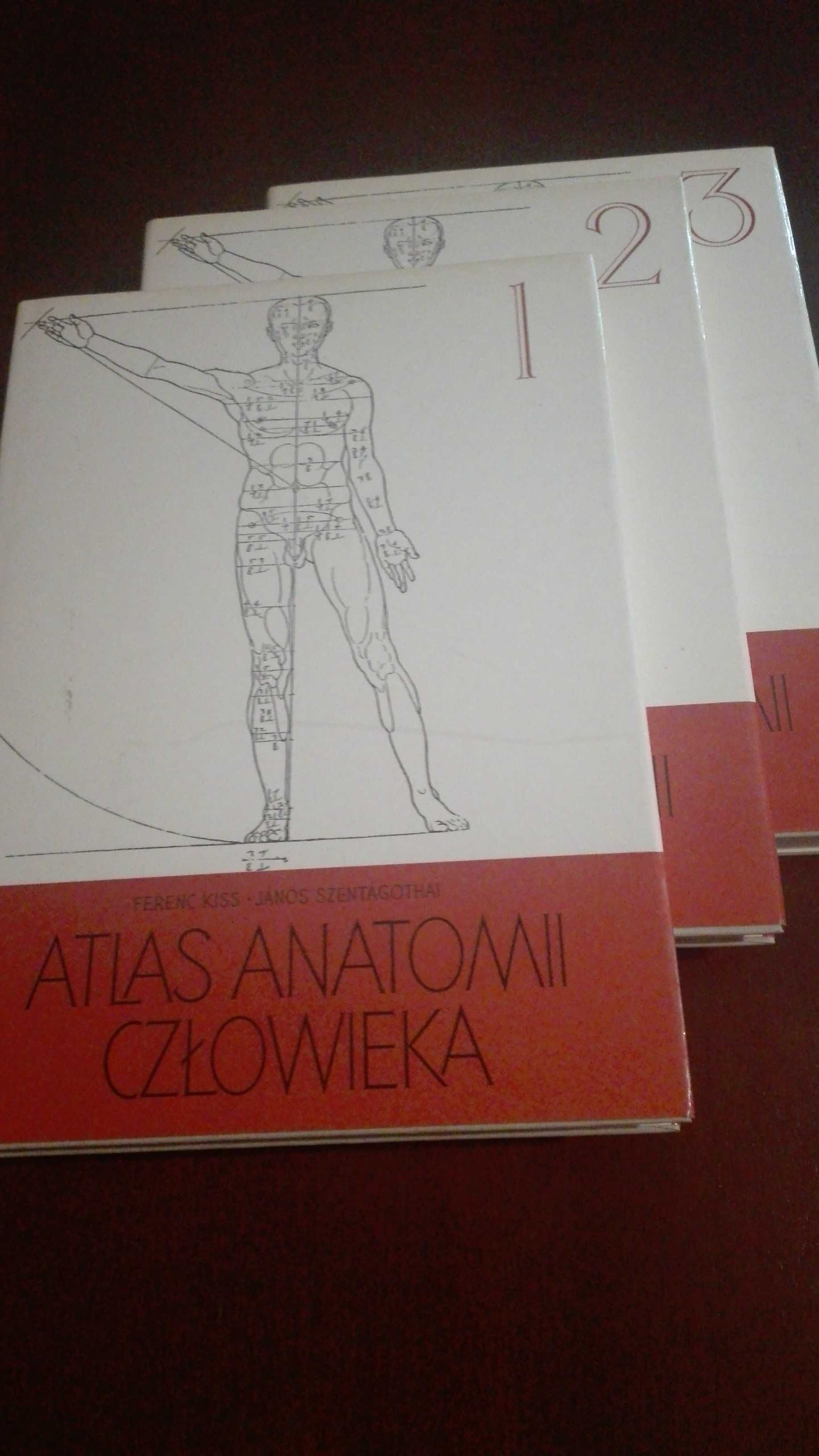 Atlas anatomii człowieka