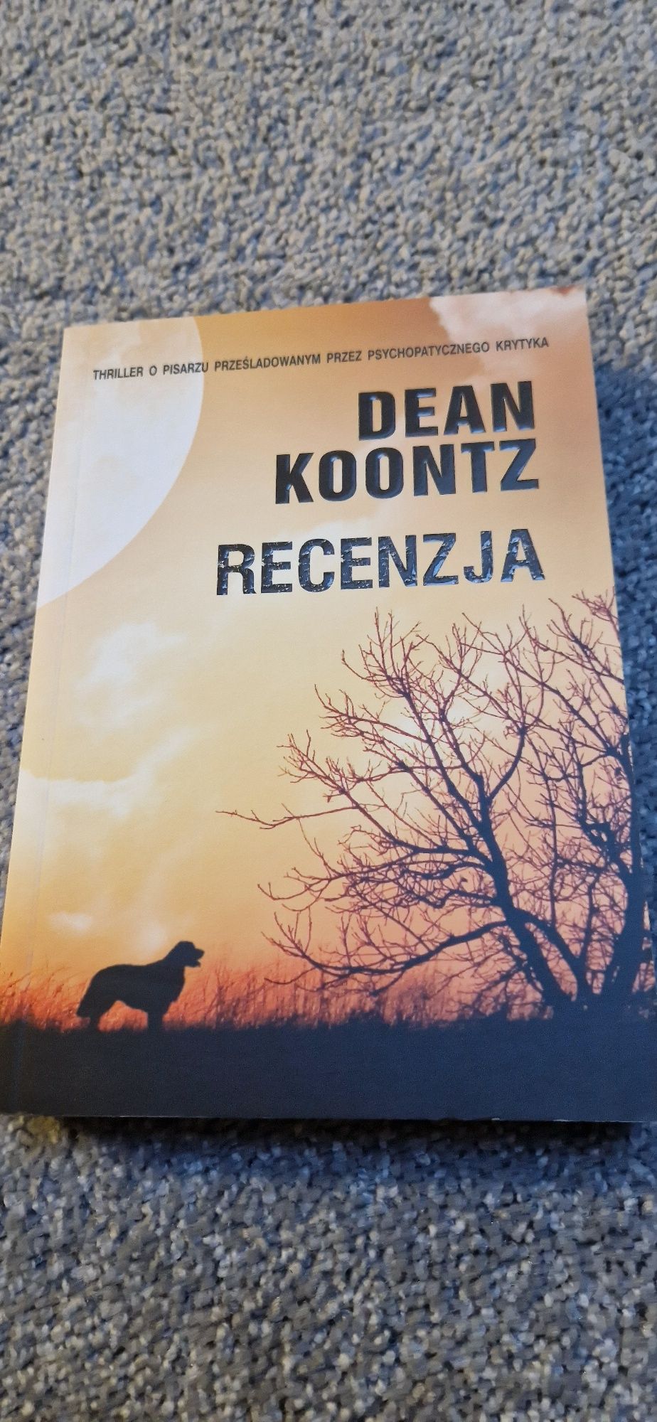 Recenzja Dean Koontz