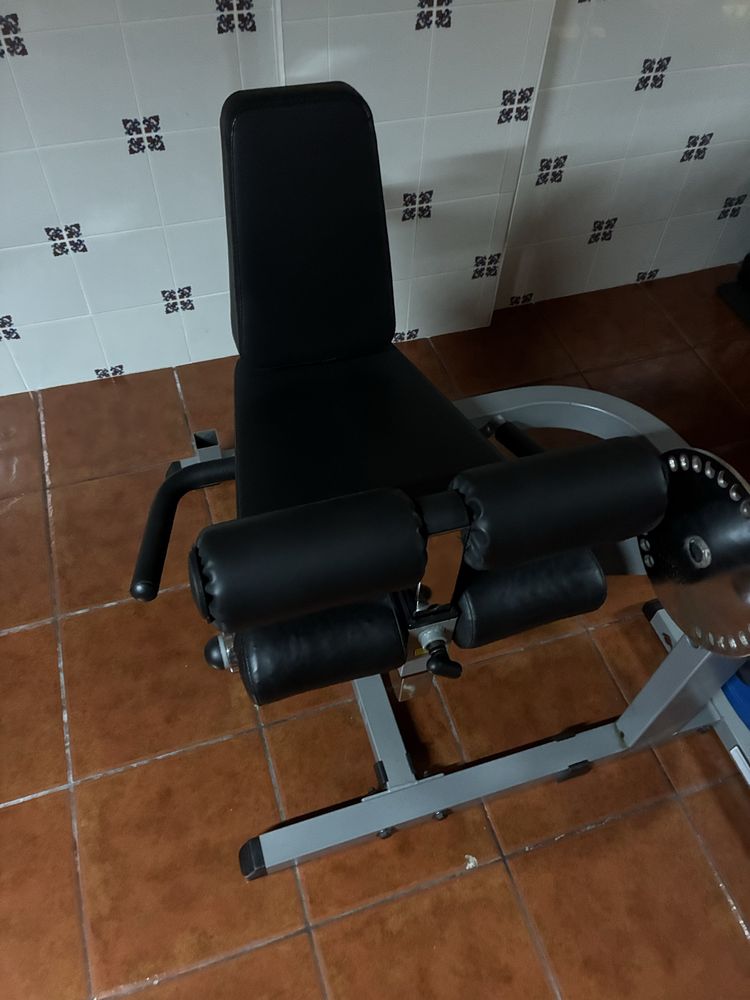Leg curl/extension