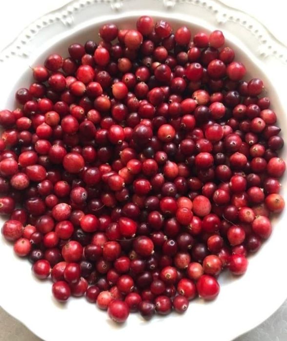 Żurawina bagienna świeża Łopuszno Kielce