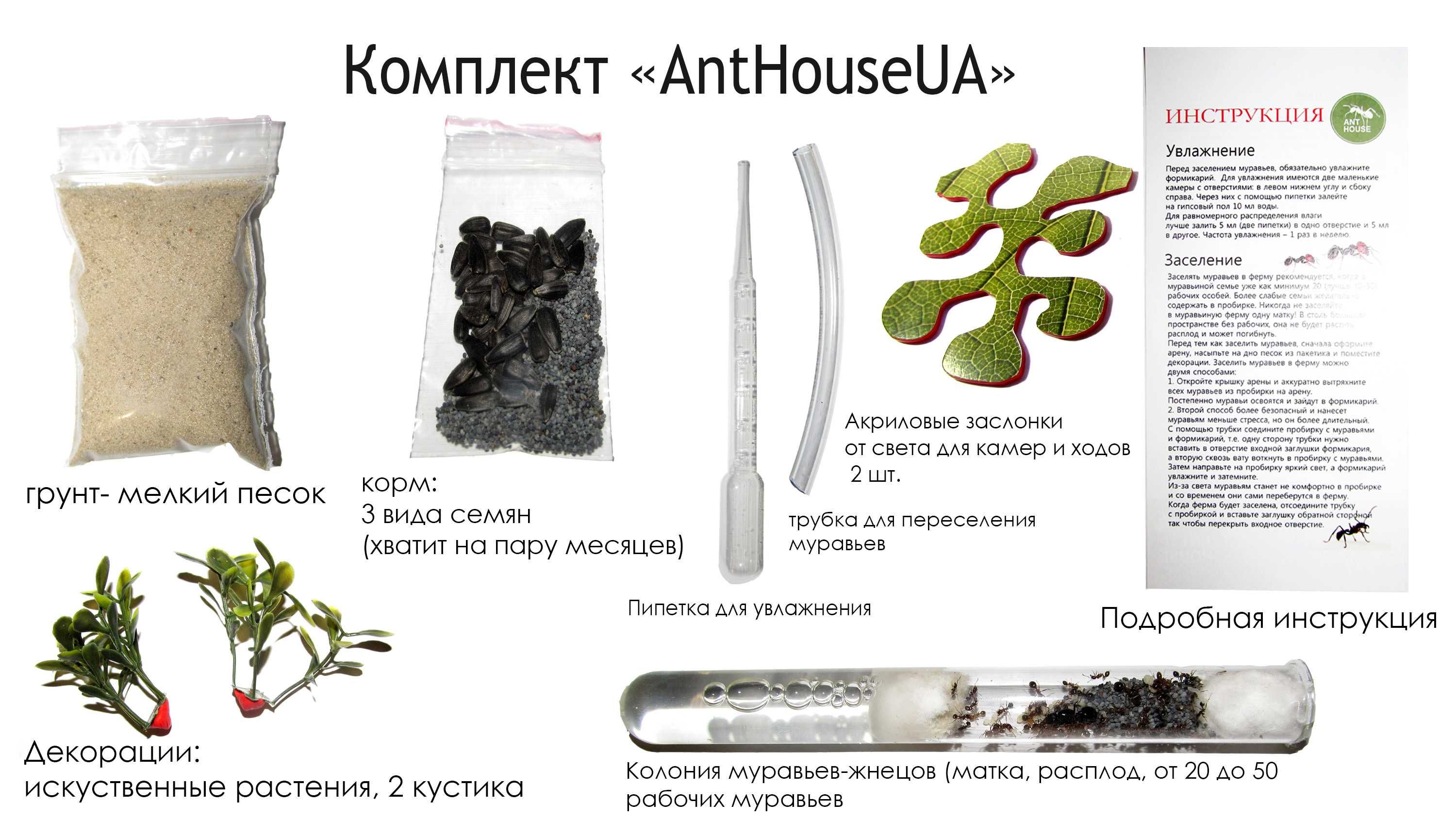Муравьиная ферма (формикарий) «Anthouse» (лист) полный комплект