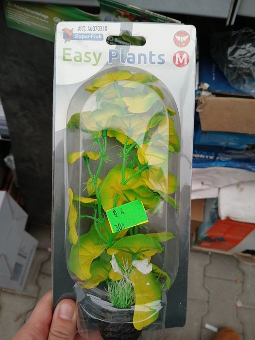 Roślinka do akwarium Easy plant M