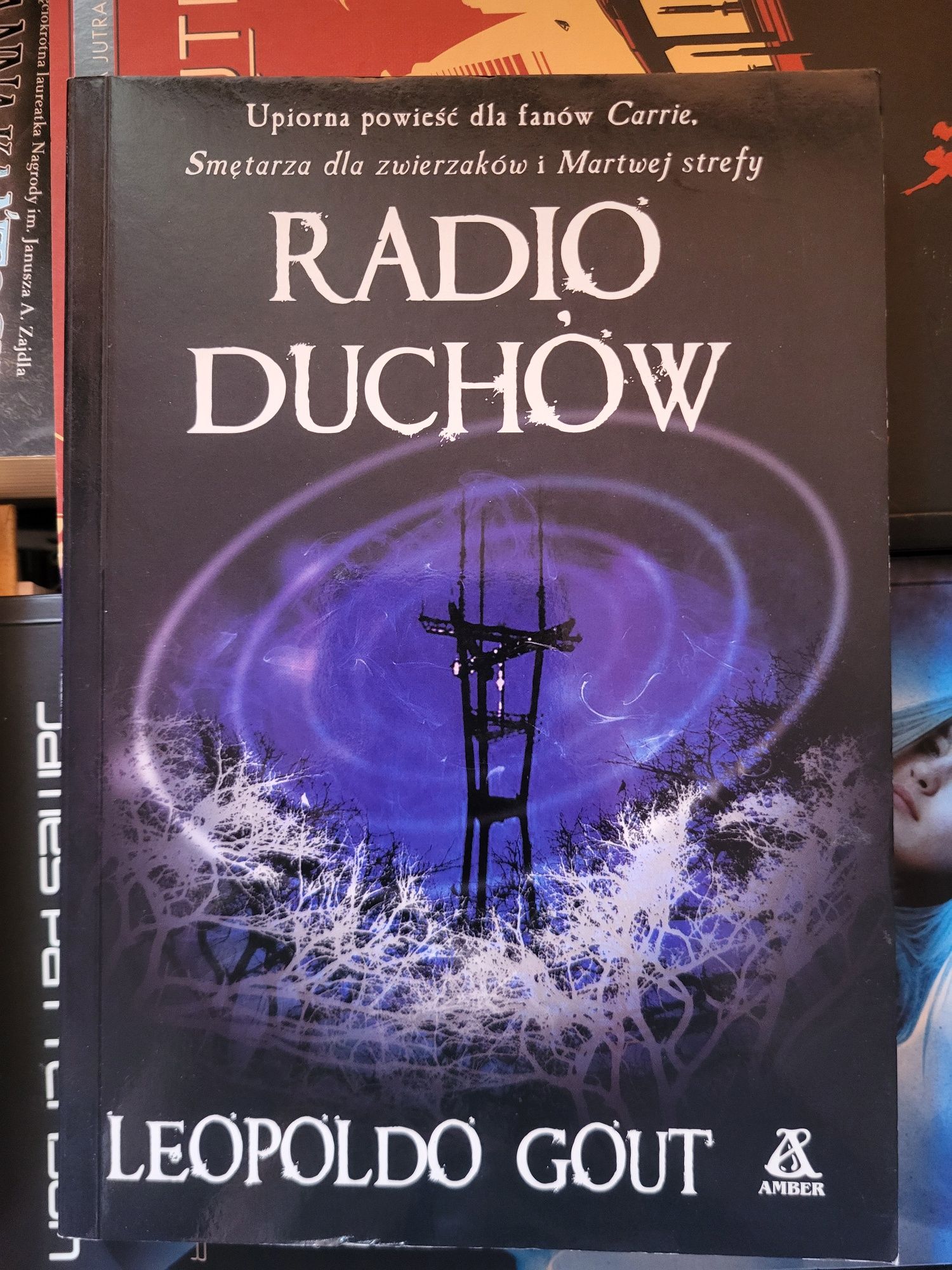 Książka Radio Duchów Leopoldo Gout