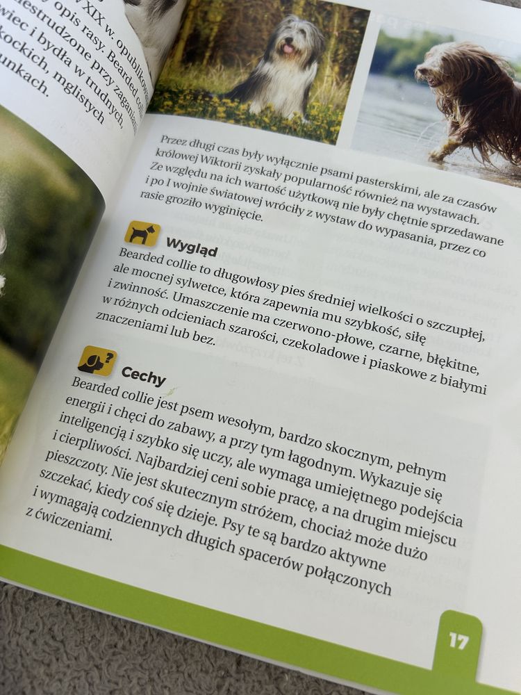 Jaki to pies? Atlas dla dzieci