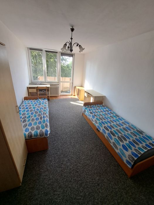Pokój dwuosobowy do wynajęcia, ul zachodnia