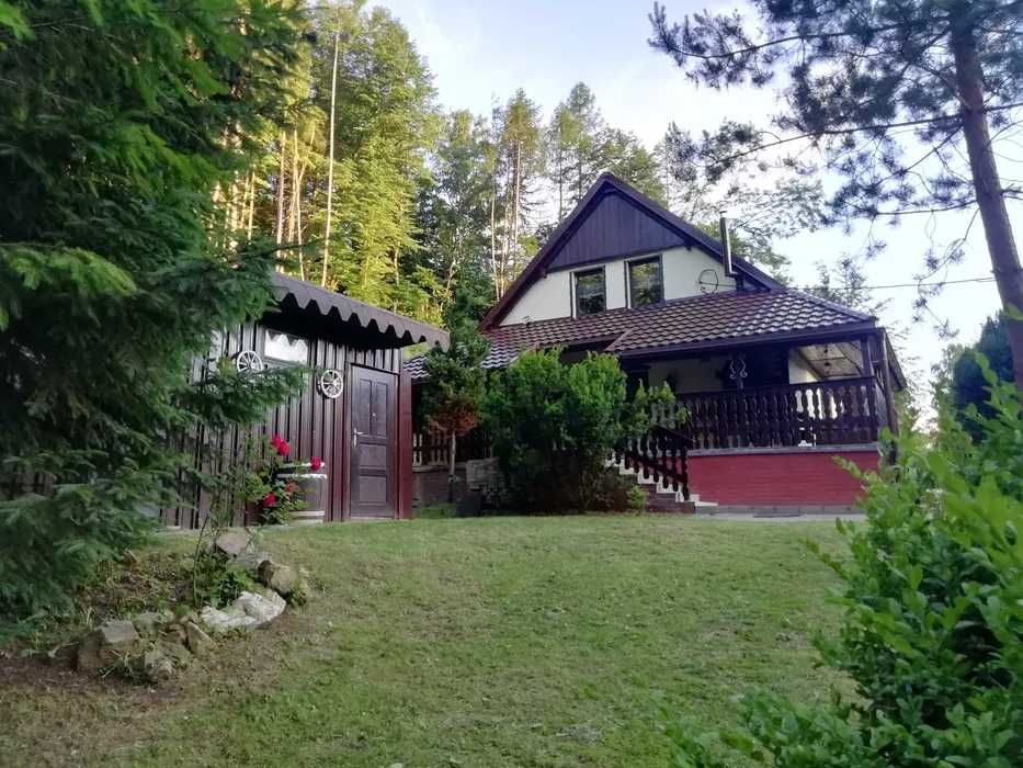 Wynajmę dom wolnostojący na minimum rok, Skrzynka, gmina Lądek Zdrój