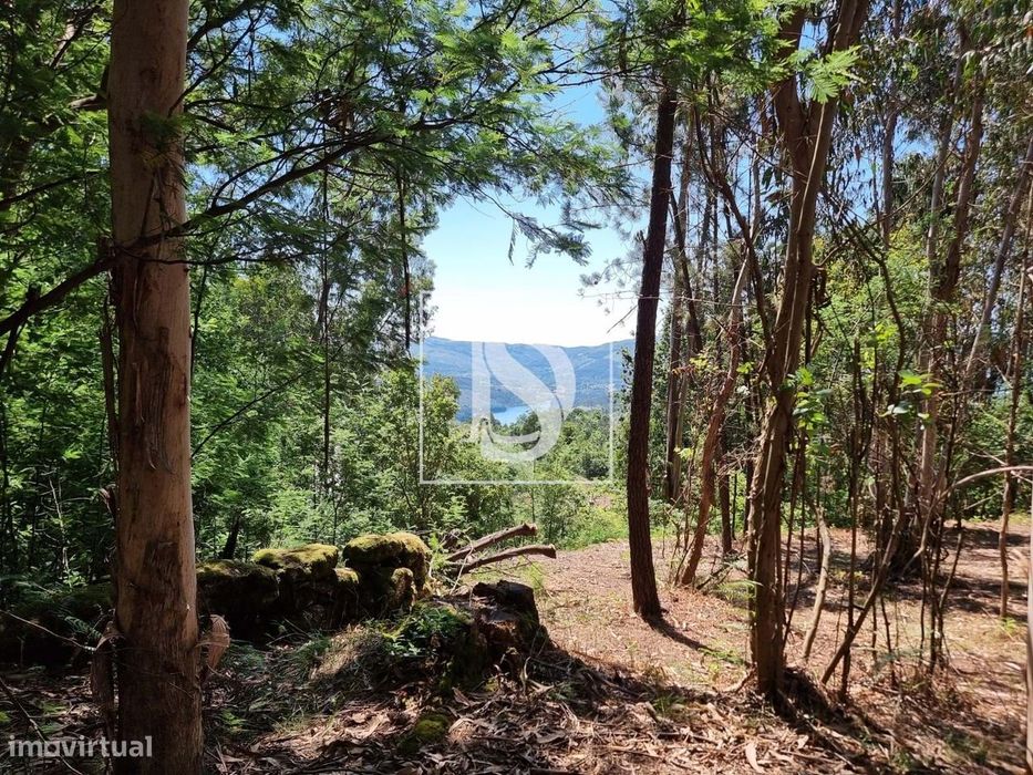 Terreno com Capacidade de Construção