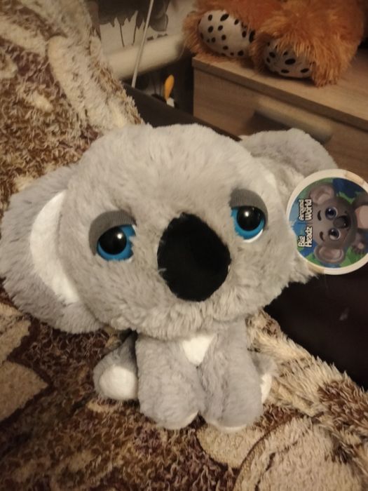 Іграшки головастики глазастики Big Headz коала