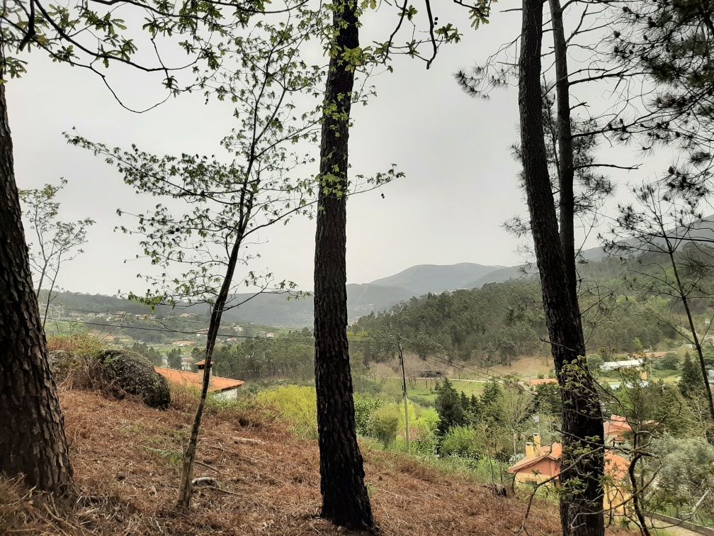 Terreno Várzea | Marão