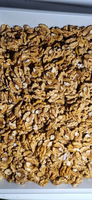 Горіхи волоські,урожай 2025рік