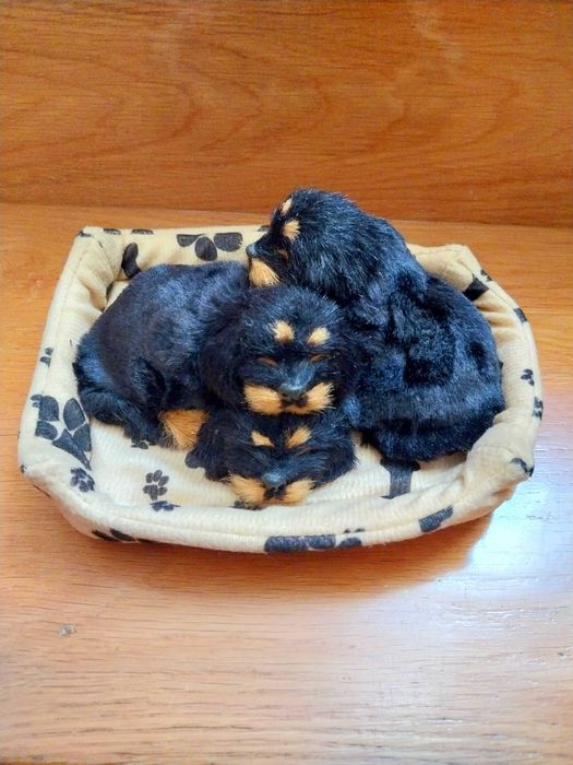 Cesta com Caezinhos - Decoração