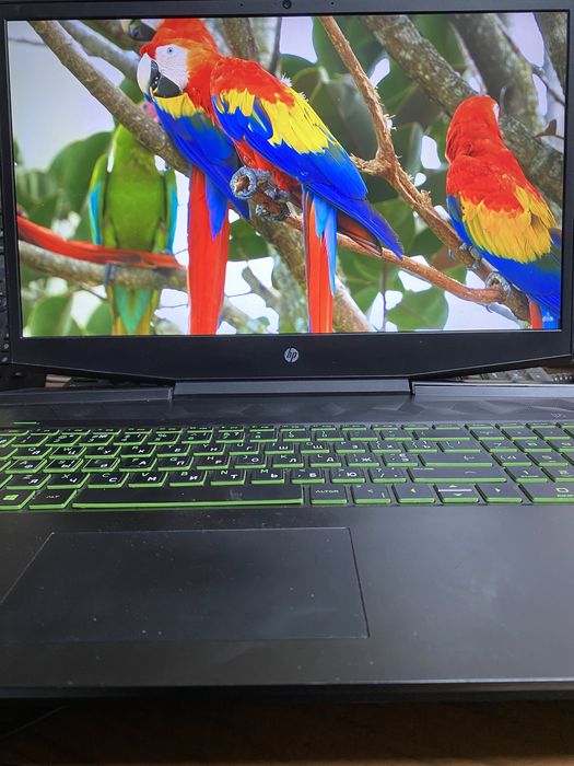 HP Pavilion Gaming Laptop 17/GTX1650/16GB DDR4/i7-9750H/500ssd+1TB